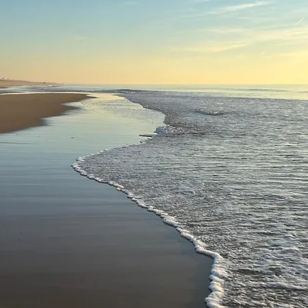 Casaniott Ocean, 600m A Pied Sud De Prázdninový dům *