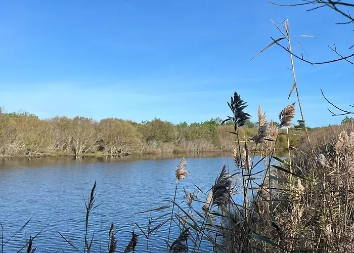 Vakantiehuis Casaniott Ocean, 600m A Pied Sud De *